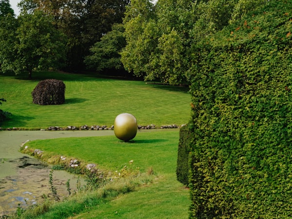 Mature hedging plants graded and ready for dispatch