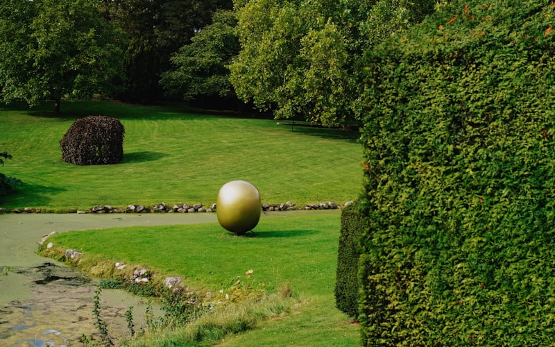 Shaped topiary shrubs grown at Fieldroot Nursery Yorkshire